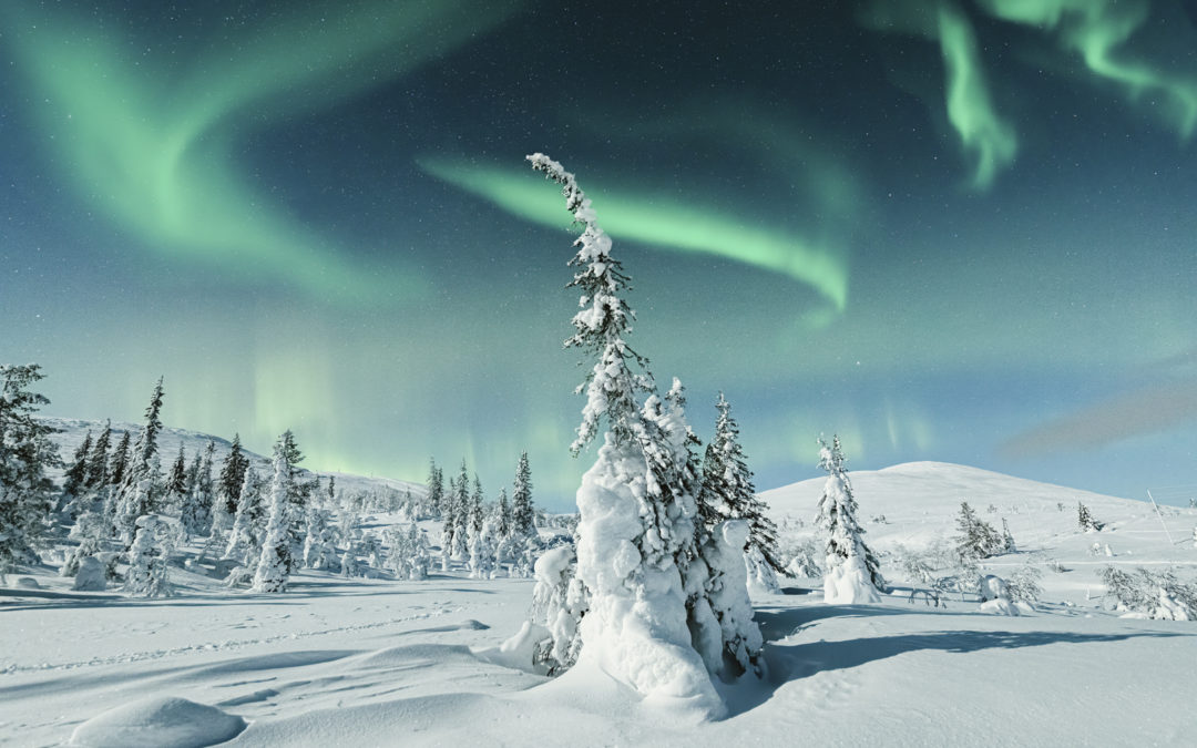 Ein Wintertraum in Lappland